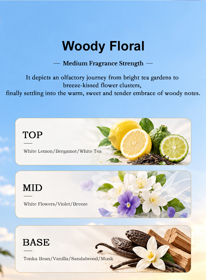 1791796024411175.jpg 1619-sky-realm-fragrance-oil (3).jpg